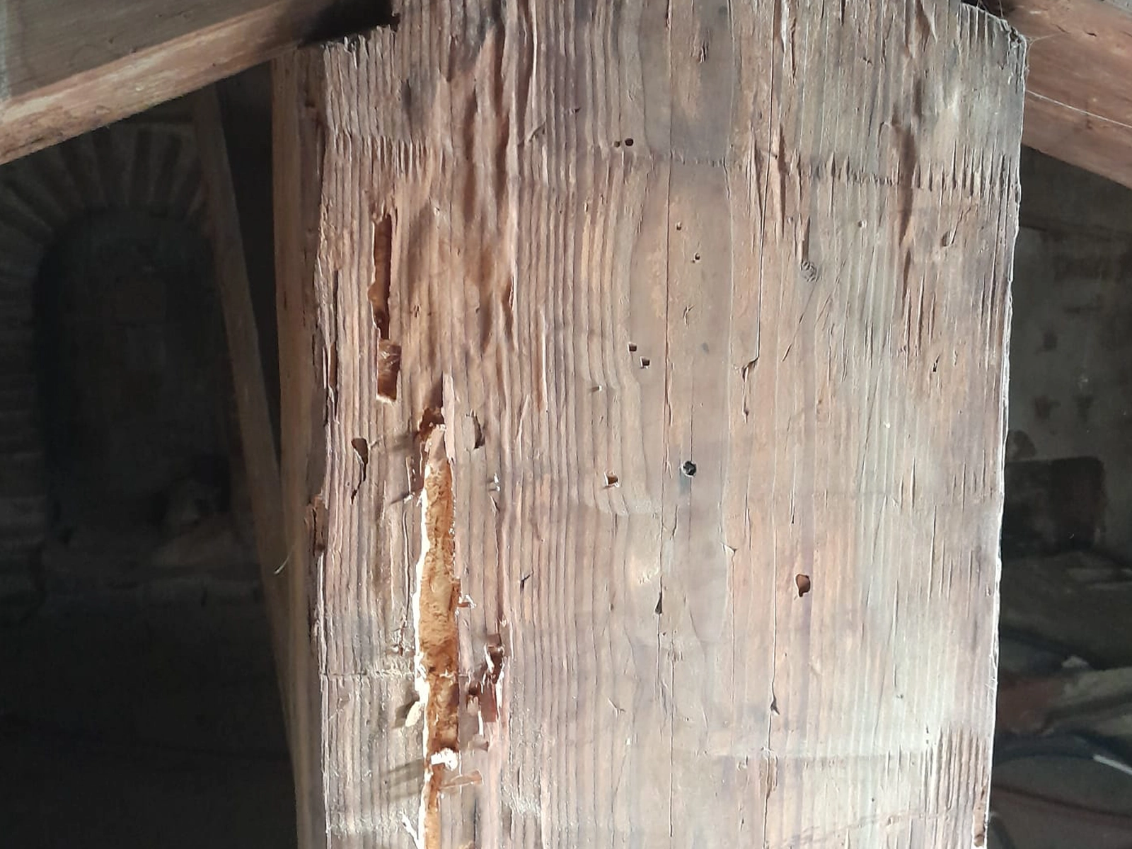 Combien coûte un traitement bois