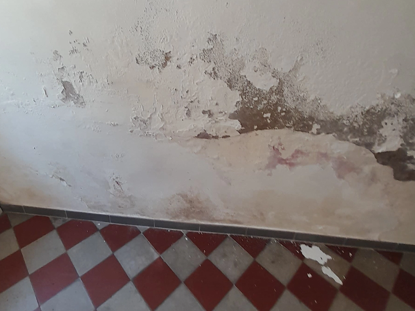 Le salpêtre est la conséquence d'un mur humide