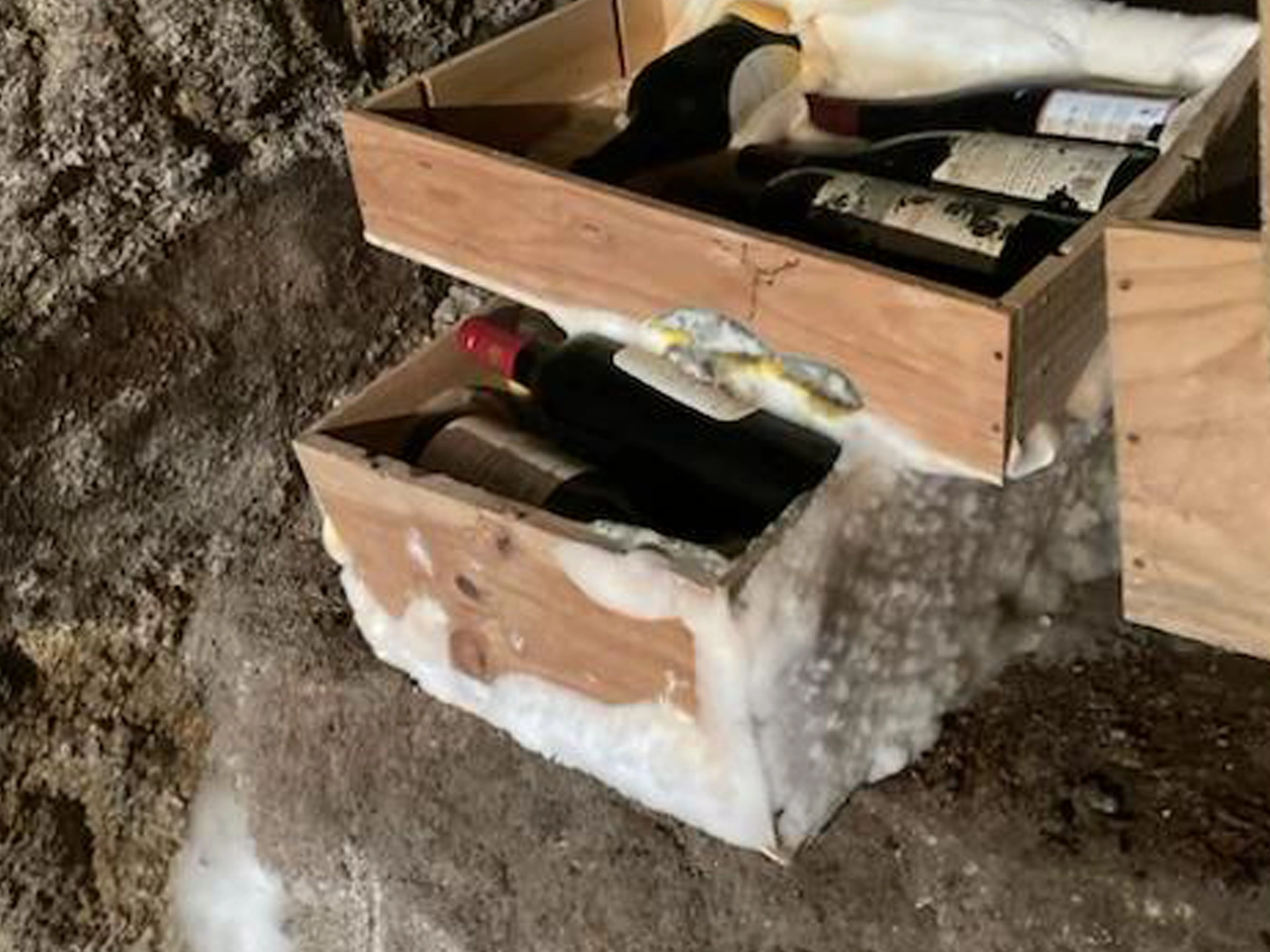 Prévenir la mérule durablement