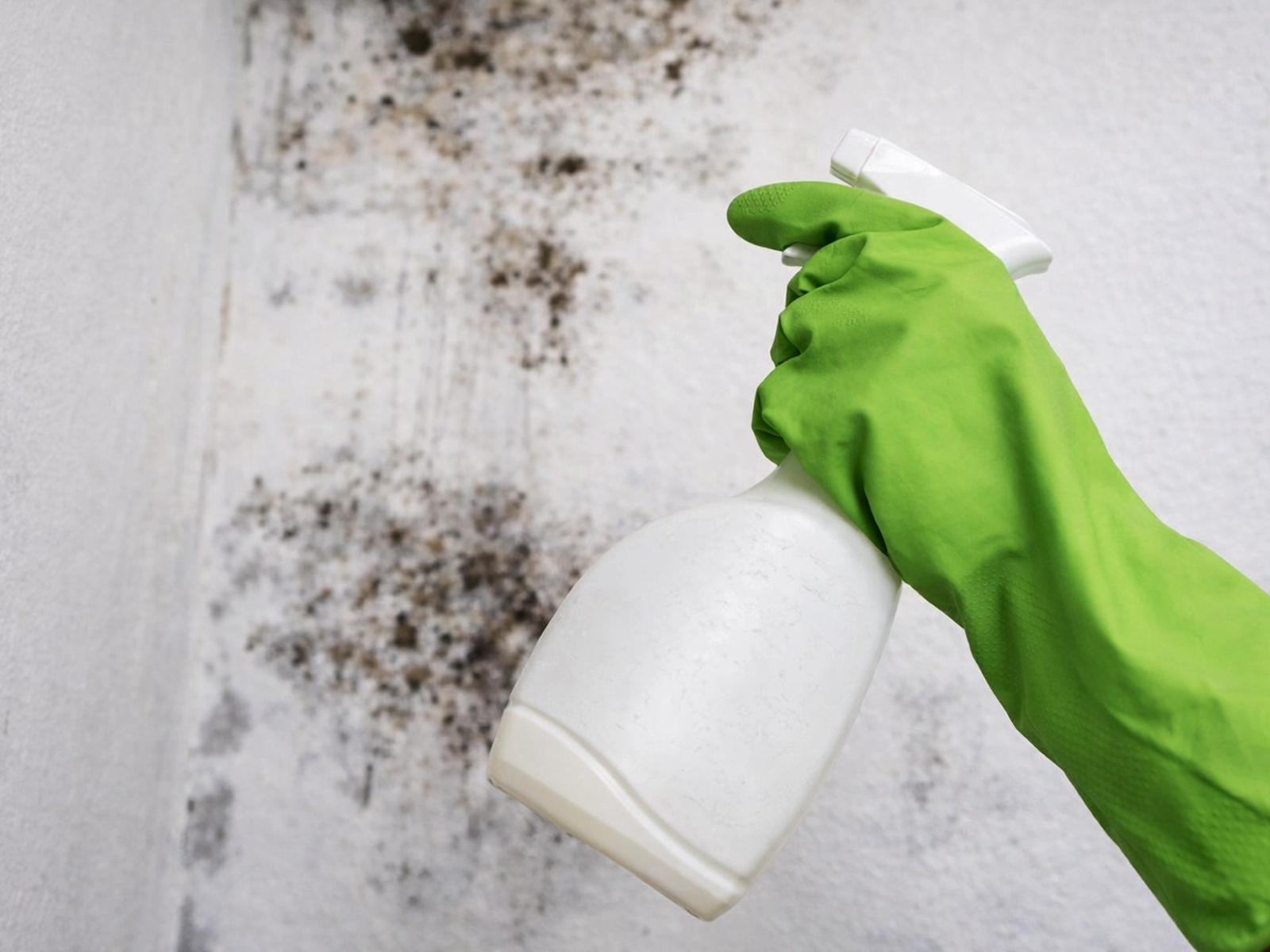 enlever moisissure mur nettoyage vinaigre blanc