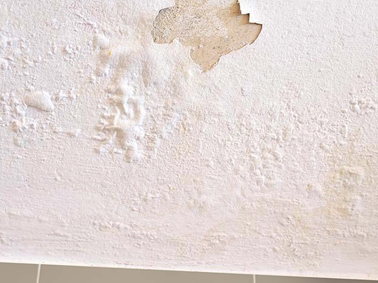 mur peinture cloque humidite salpetre