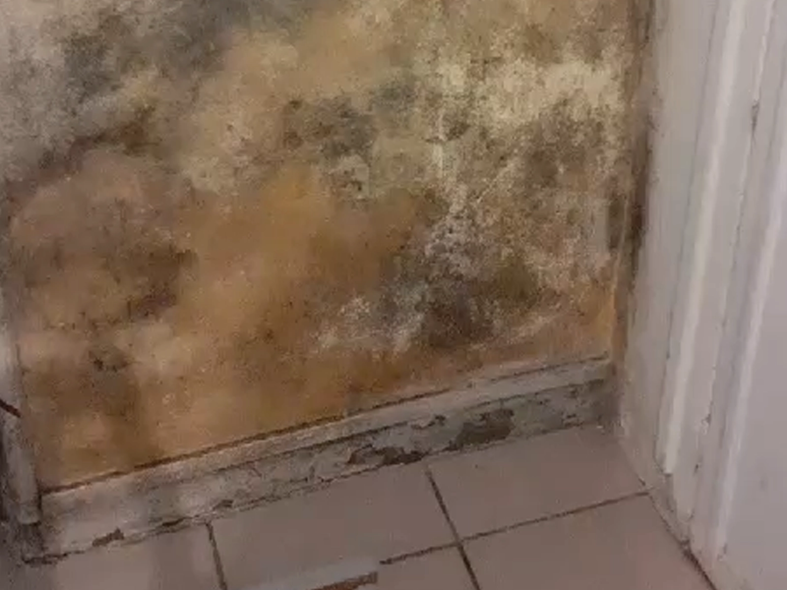 Mur humide