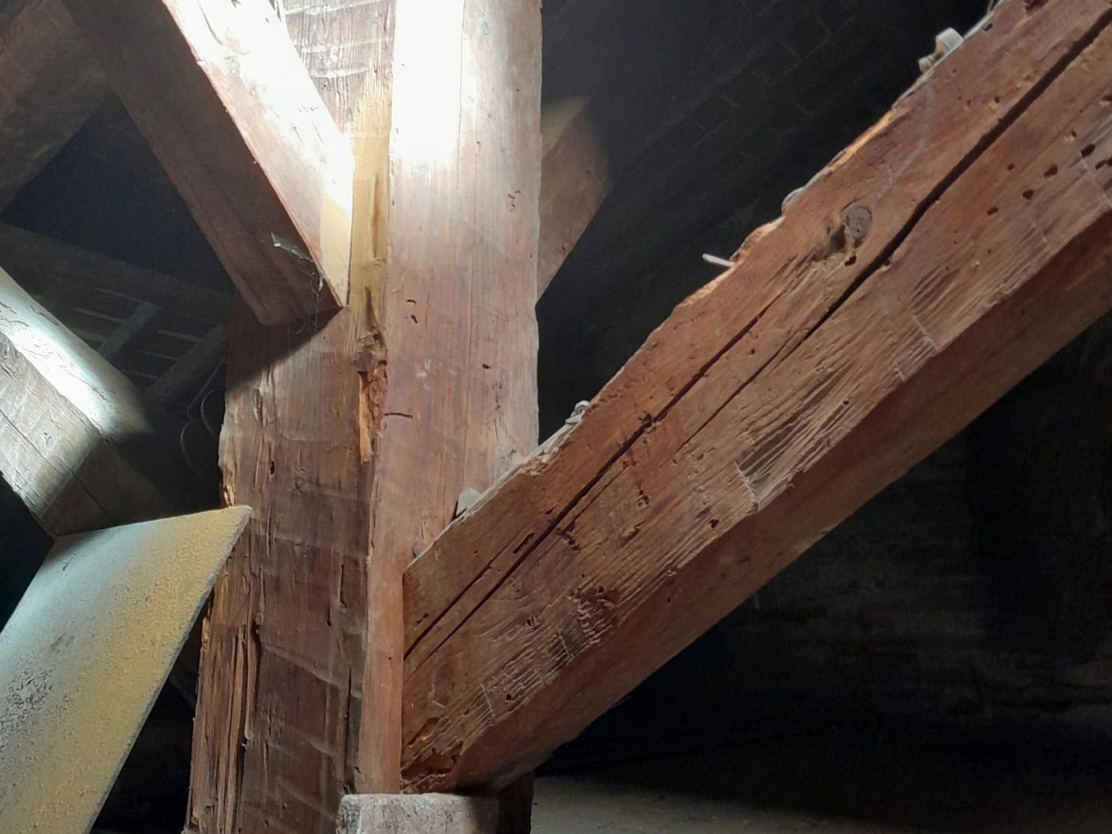 professionnel du traitement bois