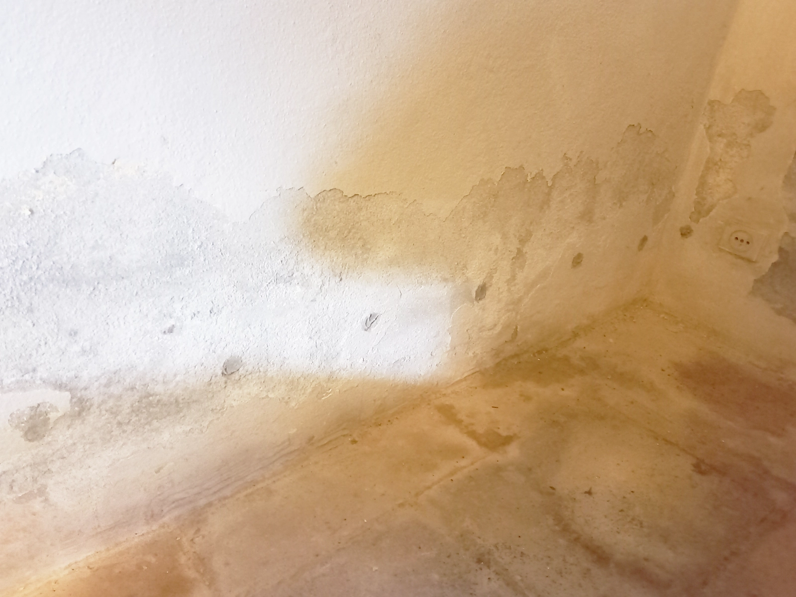 Traitement murs humides