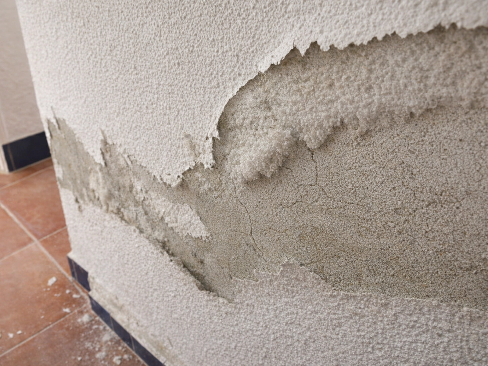 salpetre bas mur remontée capillaire