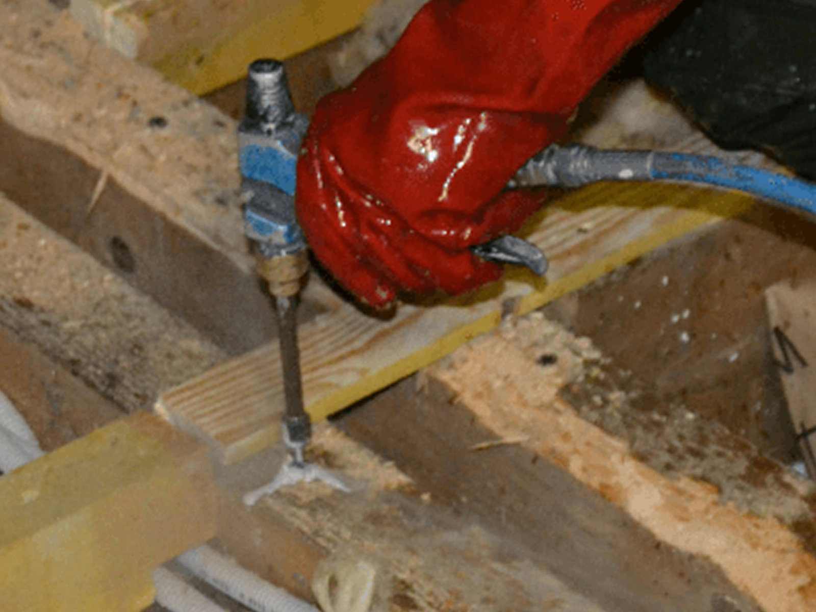 Traitement bois par injection de produits xylophène