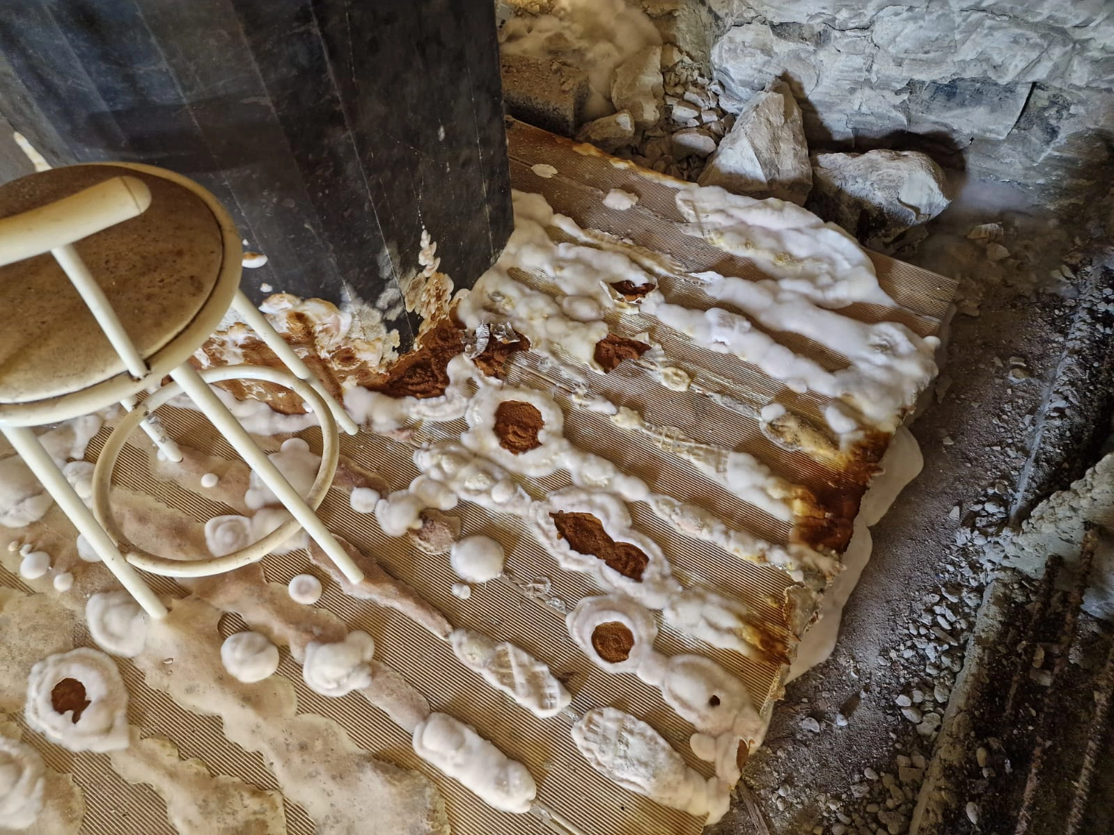 Traitement curatif mérule