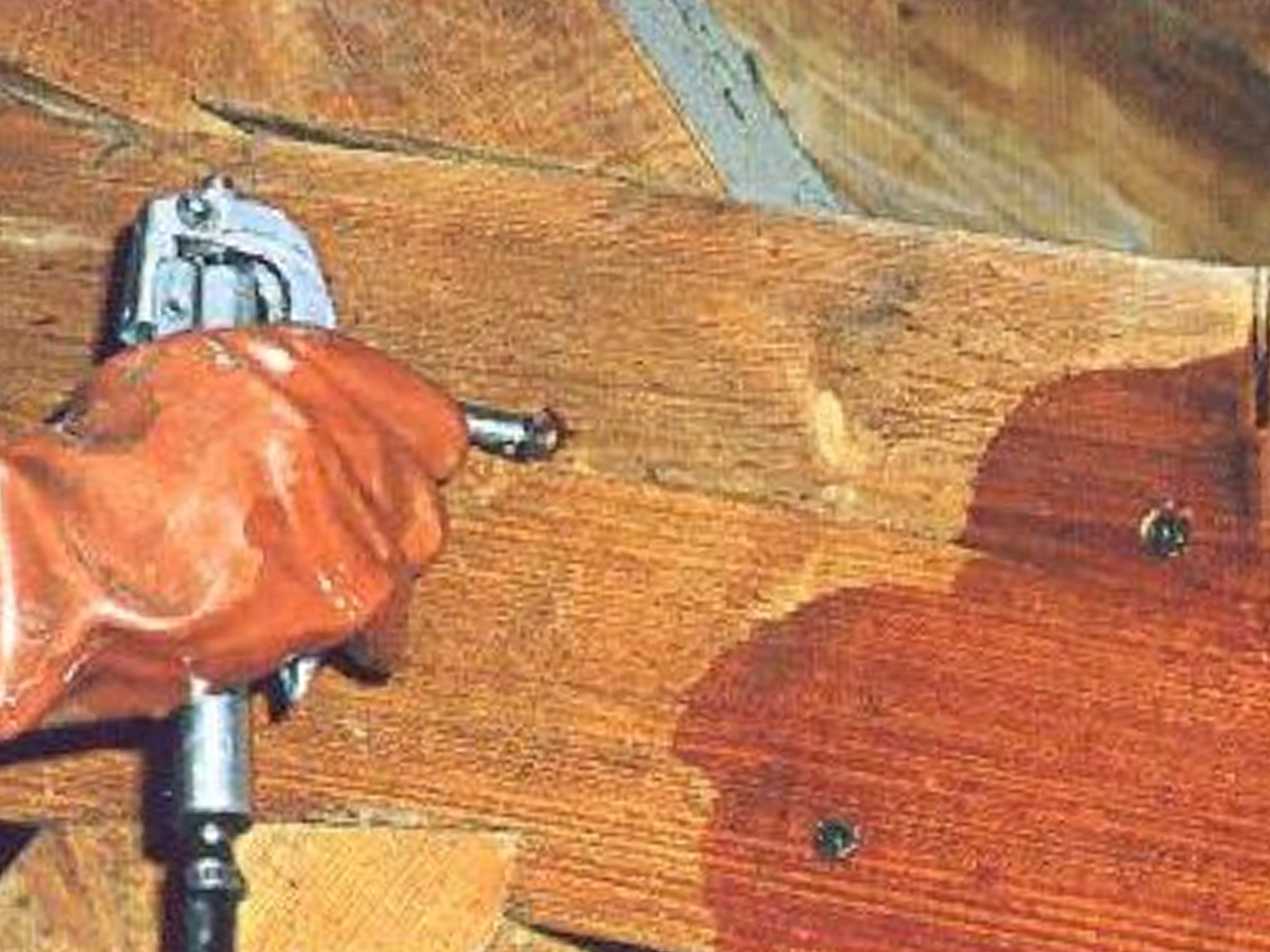 Traitement curatif contre les termites dans une habitation